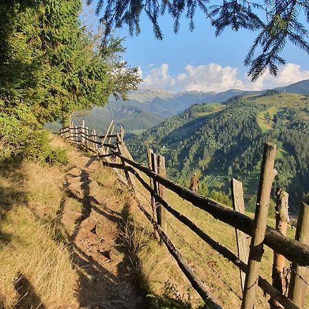Alegria - Moieciu De Sus Hotell Moeciu De Sus Exteriör bild